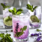 Lavender Lime Mint Mocktail