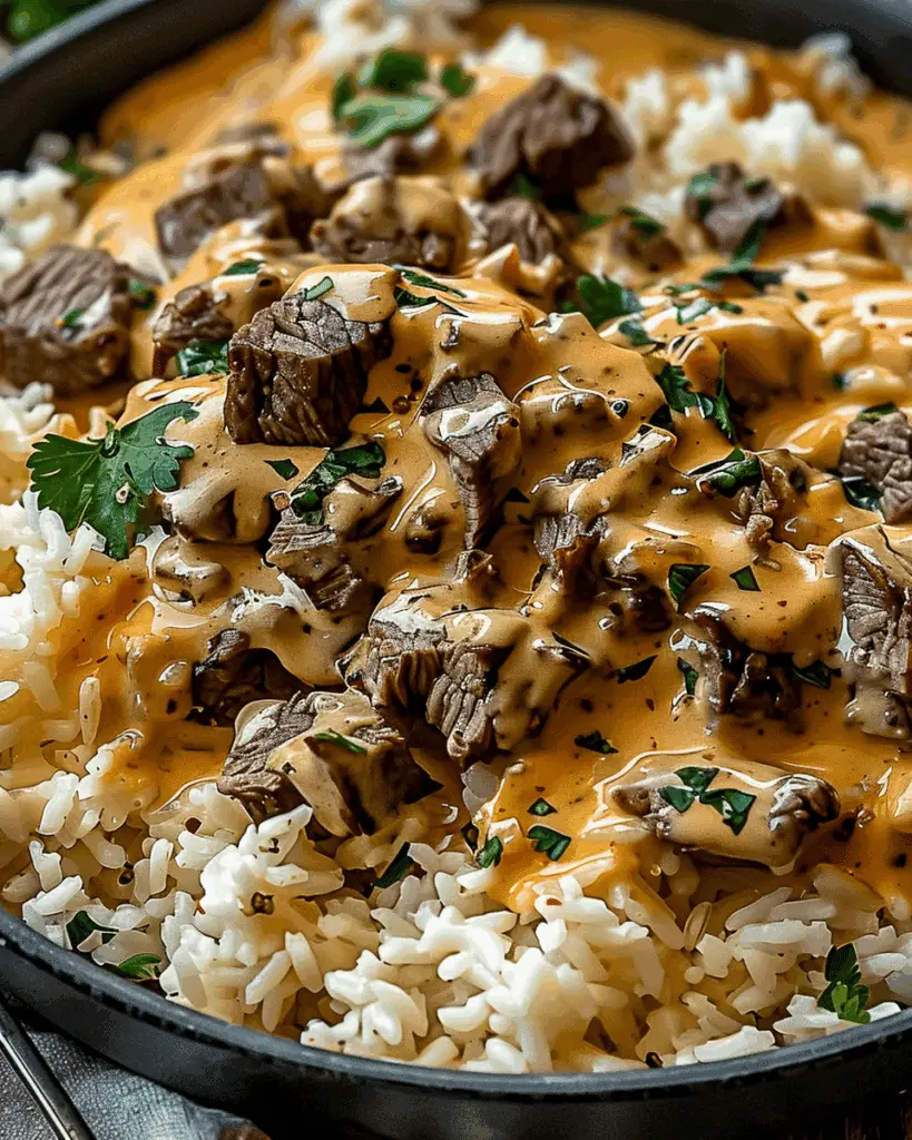 Steak Queso Rice