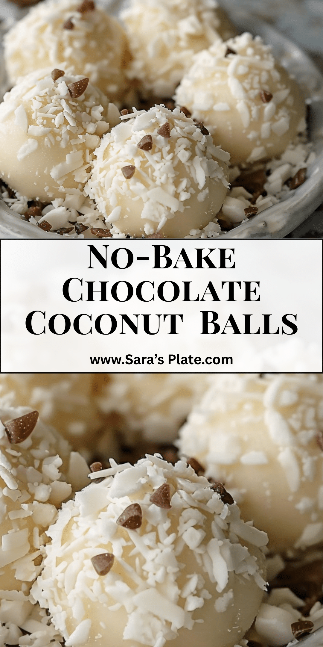 No-Bake Chocolate Coconut Graham Balls | Sara's Plate