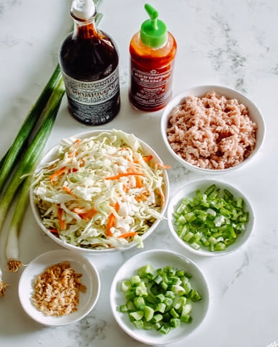 The image shows a white bowl filled with a mix of shredded cabbage and carrots, placed on a white marbled surface. Next to it are ingredients: two green onions with long green stalks, a bottle of dark brown sauce, a bottle of red spicy sauce with a green nozzle, a small white plate with light brown crushed garlic, a small white plate with chopped green onions, and a white bowl filled with raw light pink ground chicken. The items are arranged neatly in a flat lay style, all on a white marbled background. Photo taken with an iphone --ar 4:5 --v 7