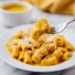 Pumpkin Cream Sauce for Pasta Recipe