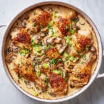 French Chicken Casserole à la Normande Recipe