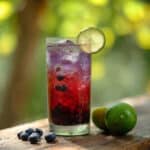 Blueberry Lime Rickey Recipe