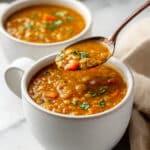 Lentil and Vegetable Soup Recipe
