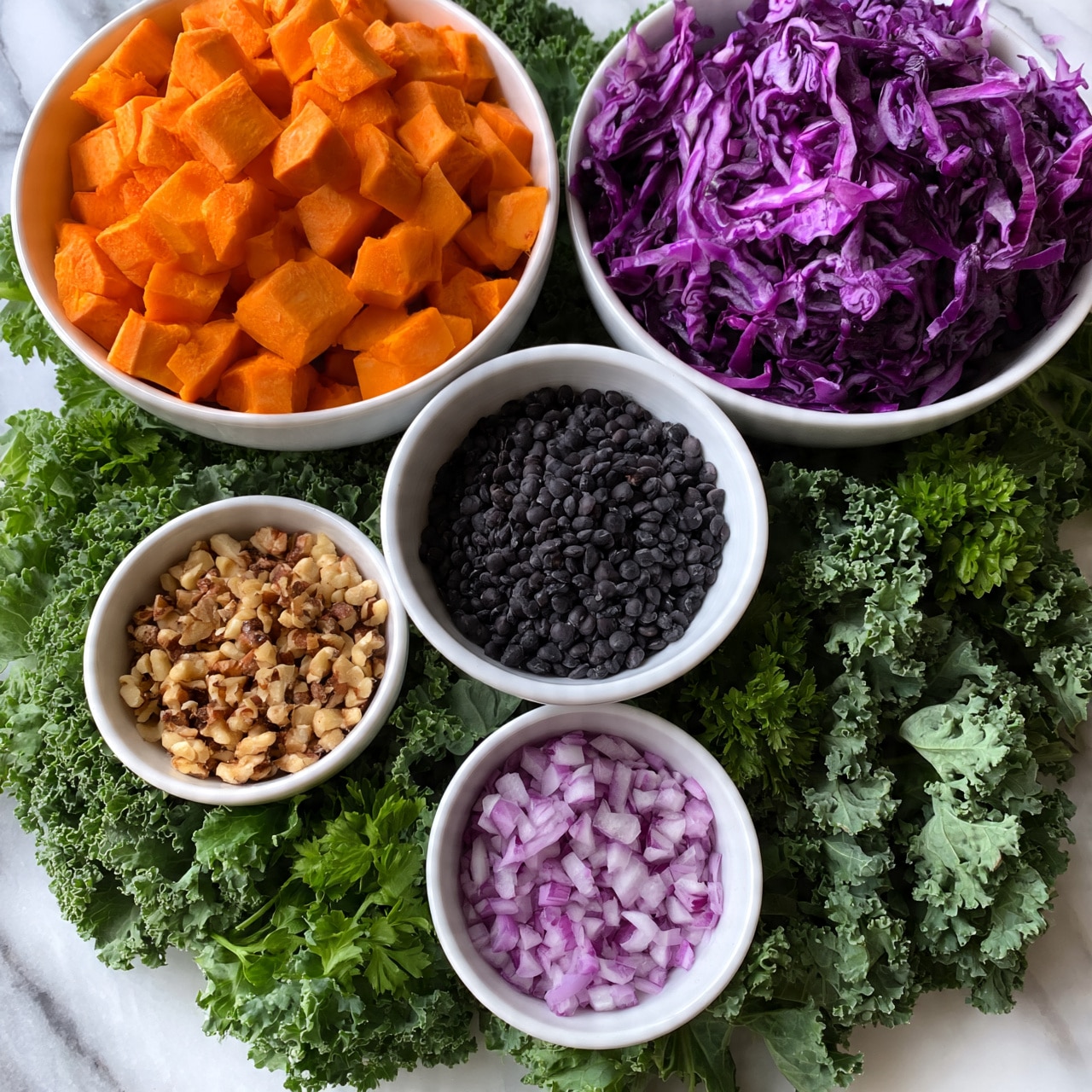 square image Five white bowls are placed on a bed of curly kale leaves with some parsley. The largest bowl on the top left holds cubed orange sweet potatoes. To its right, a slightly smaller bowl is filled with shredded purple cabbage. Below the sweet potatoes and near the center is a bowl filled with small black lentils. To the left of the lentils is a small bowl containing chopped nuts. Below the lentils, the smallest bowl holds finely diced red onions. All bowls are arranged closely together on the green leafy base with a white marbled background. Photo taken with an iphone --ar 4:5 --v 7square image