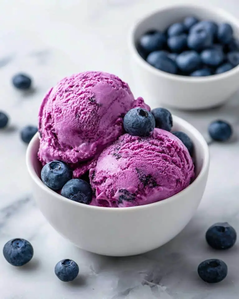 Blueberry Greek Frozen Yogurt Recipe