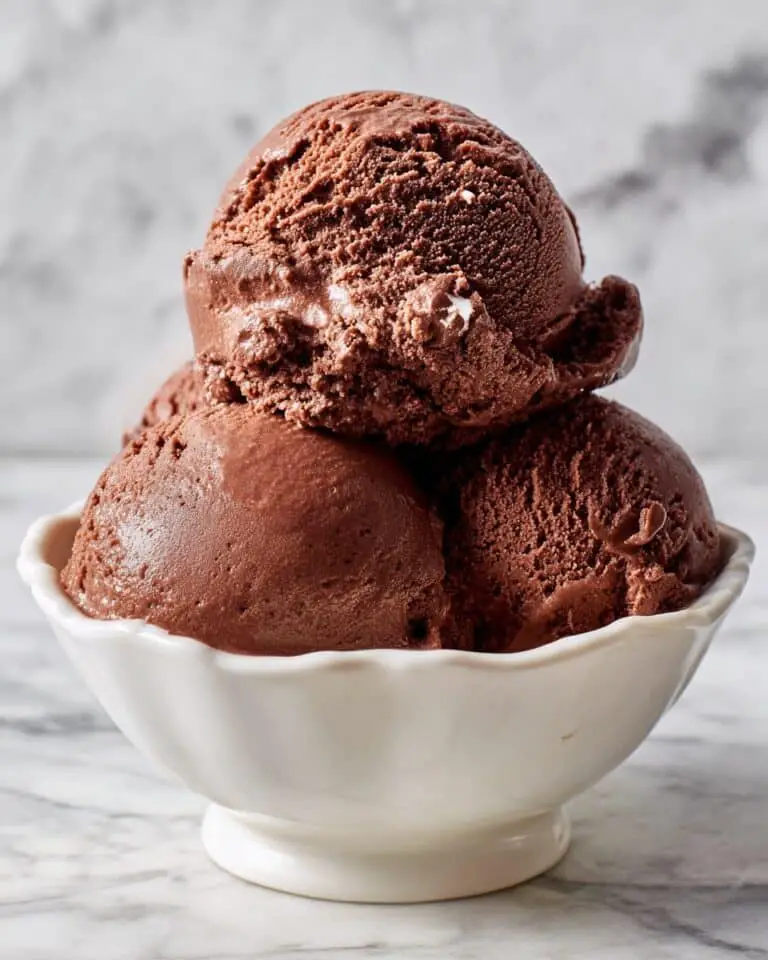 Vegan Chocolate Ice Cream Recipe