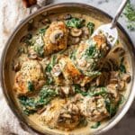 Creamy Mushroom Chicken Recipe