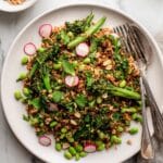 Crispy Rice Salad with Cucumbers and Herbs Recipe