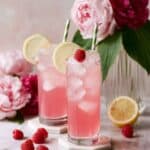 Rosé Spritzer Recipe