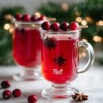 Spiced Cranberry Juice: Warm and Cozy Holiday Mocktail Recipe