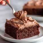 Chocolate Dump Cake Recipe