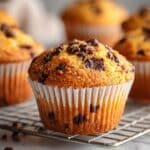 Best Pumpkin Chocolate Chip Muffins Recipe