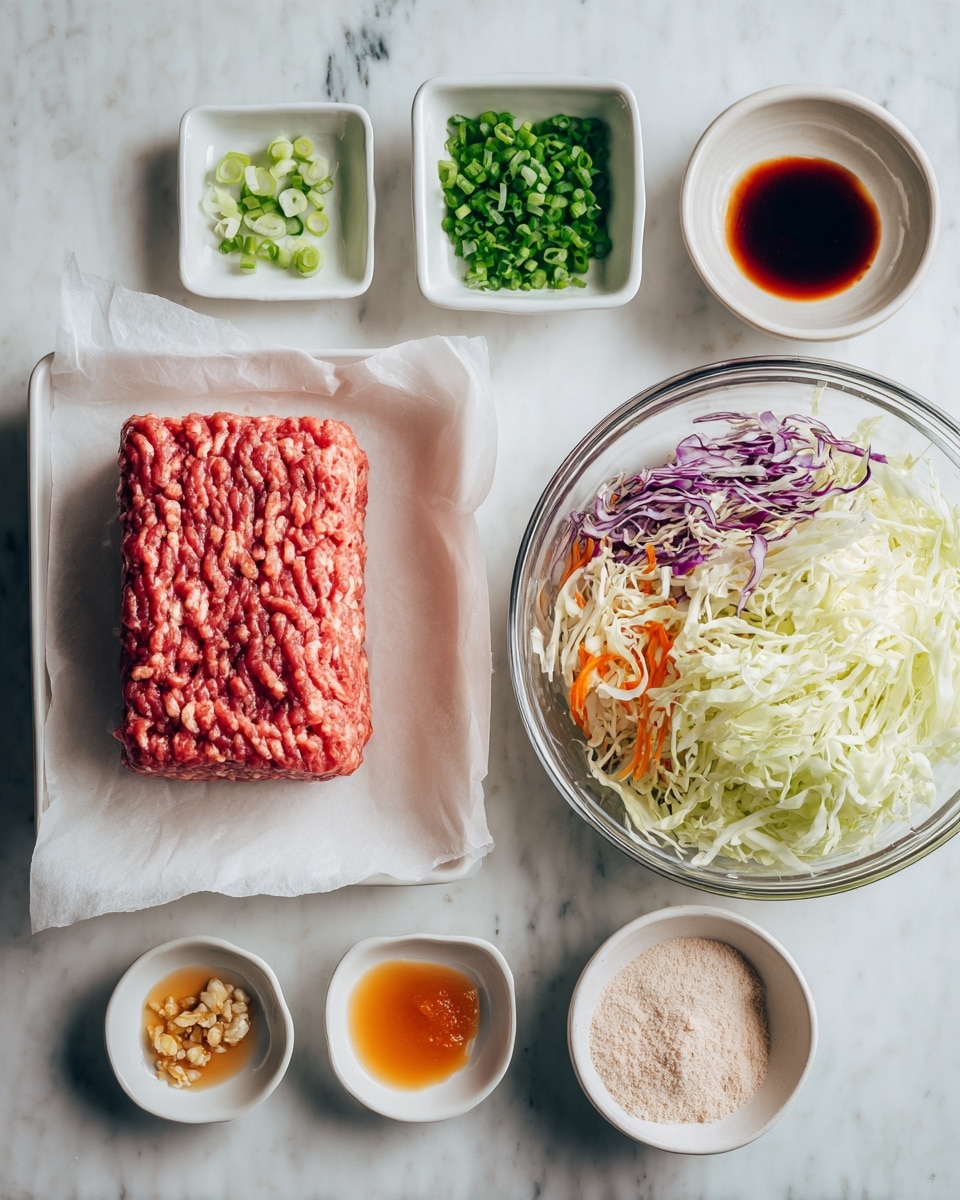 The image shows raw ground meat shaped into a rectangular block placed on a piece of parchment paper inside a white square plate, located in the center left. To the right of the meat, there is a clear glass bowl filled with shredded cabbage and some small bits of purple and orange vegetables. Surrounding the main items, there are five small white square bowls: one with chopped green onions at the top left, two with dark brown and light orange sauces above the meat, and two at the bottom left with one holding minced garlic and the other a reddish sauce. Another small white bowl at the bottom right contains a light-colored powder. All items are arranged on a white marbled surface. photo taken with an iphone --ar 4:5 --v 7